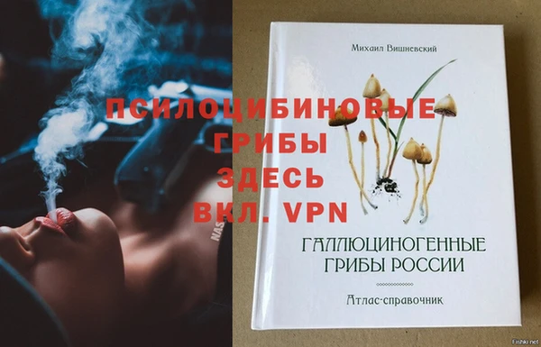 гидропоника Медногорск