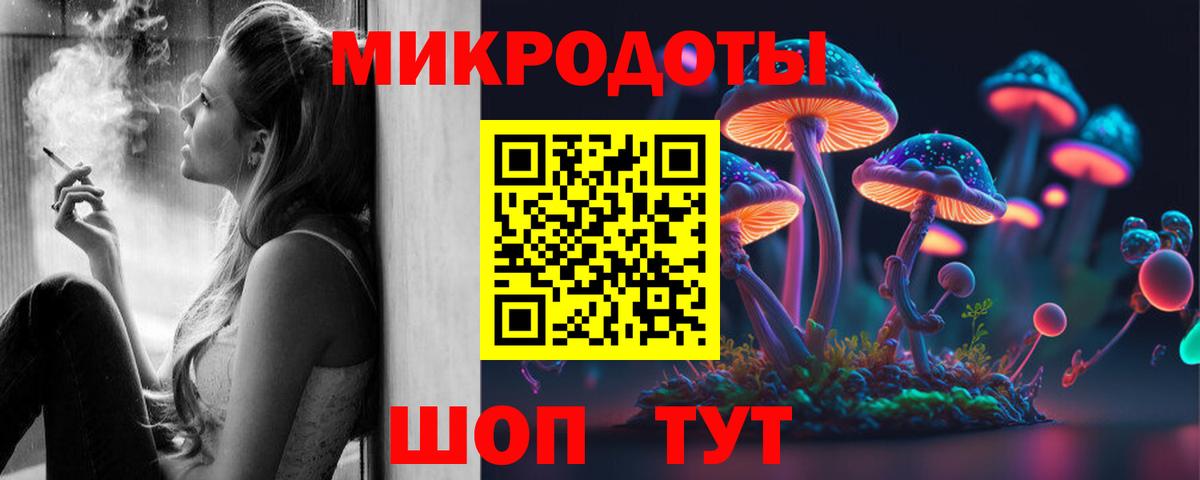 Псилоцибиновые грибы мицелий Бутурлиновка