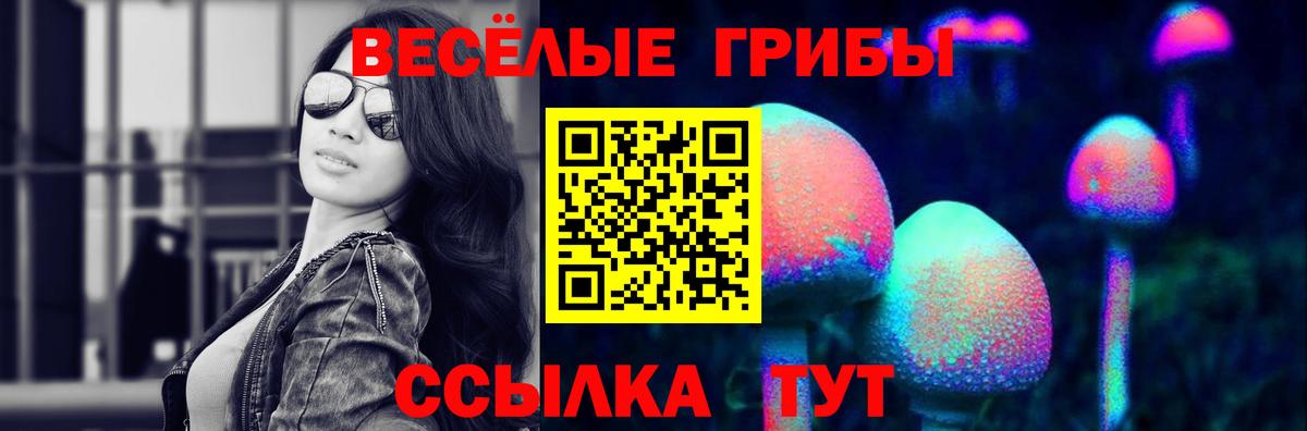 Псилоцибиновые грибы Psilocybe  Галлюциногенные грибы прущие грибы  Вход с VPN  Бутурлиновка 